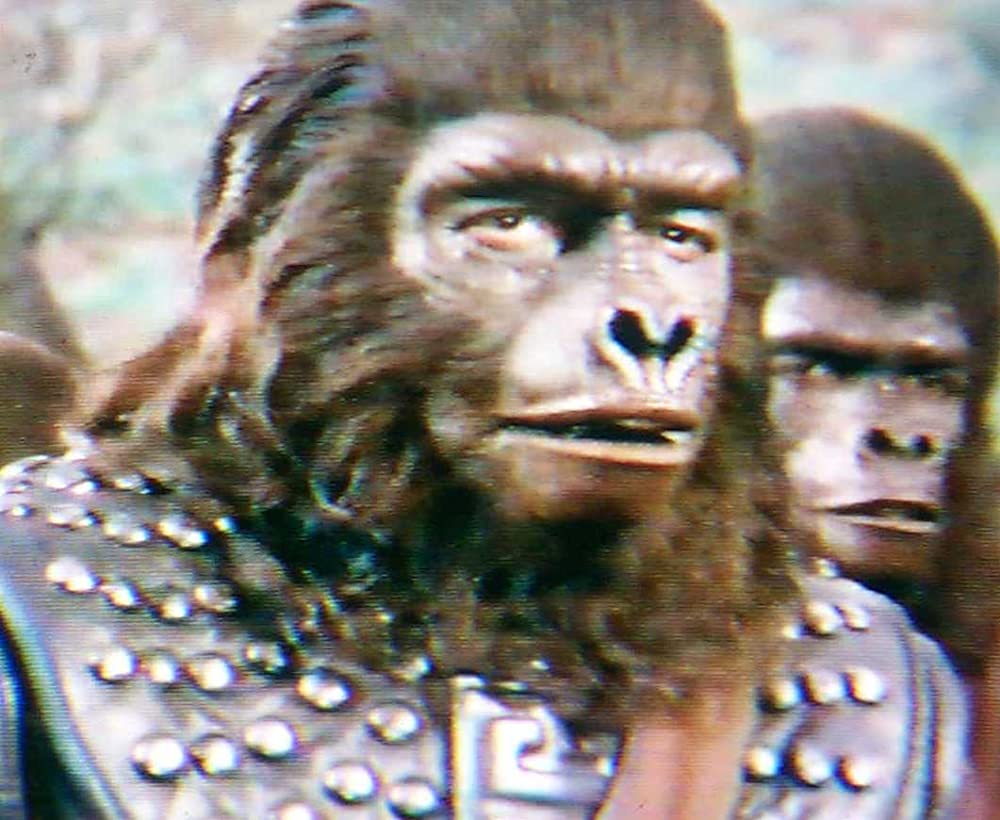 最後の猿の惑星の画像