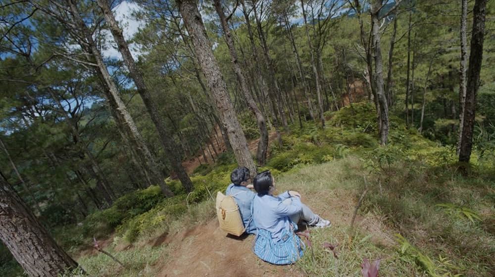 美しい母の秘め事 シークレットセックスの画像