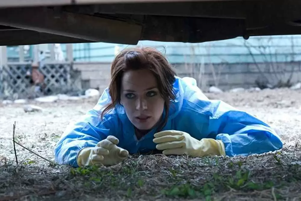 「サンシャイン・クリーニング」エミリー・ブラントの画像