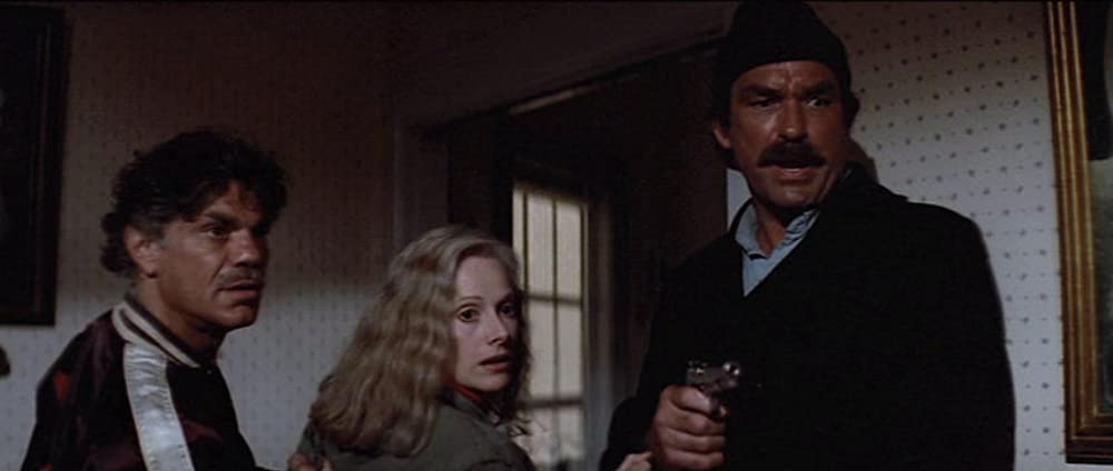 ダーティハリー4の画像