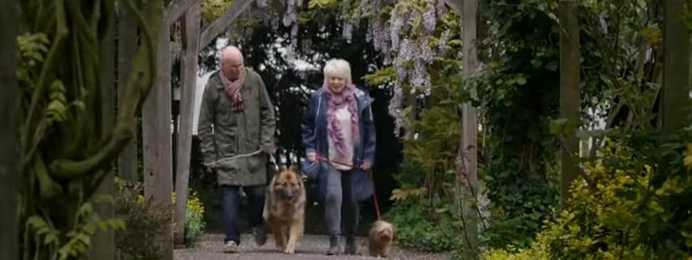 23 Walks（原題）の画像