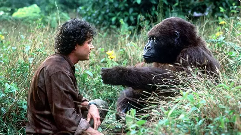 「コンゴ」ミスティ・ローザス & ディラン・ウォルシュの画像