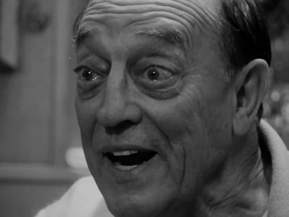 バスター・キートン・ライズ・アゲインの画像