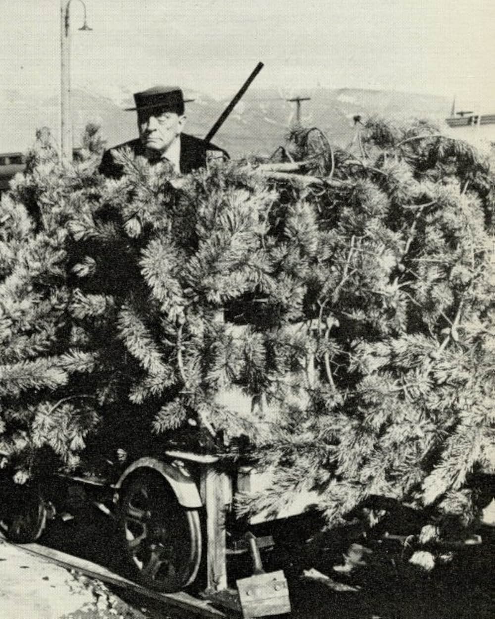 バスター・キートン・ライズ・アゲインの画像