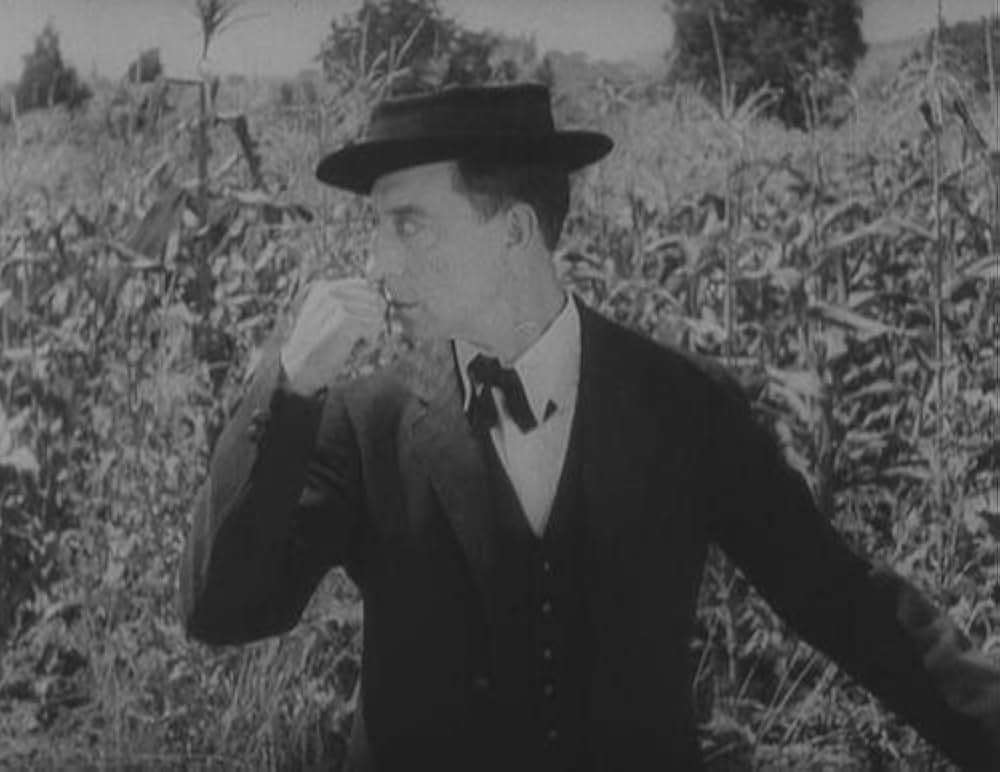 キートンの自由結婚の画像