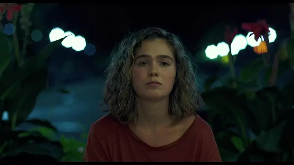 コロンバスの画像