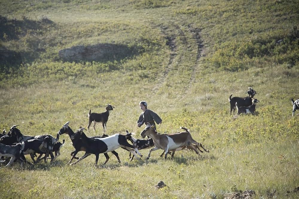 バーン・ユア・マップス（原題）の画像