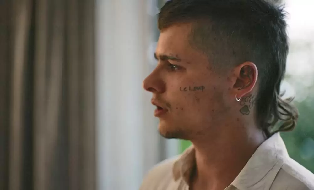 ベイビーティースの画像