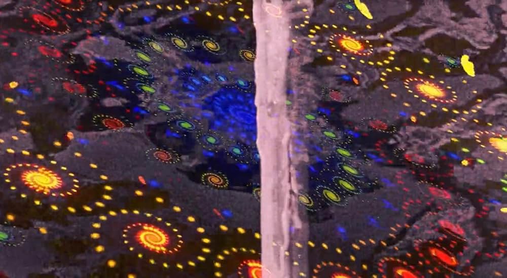 Hallucination Generation（原題）の画像