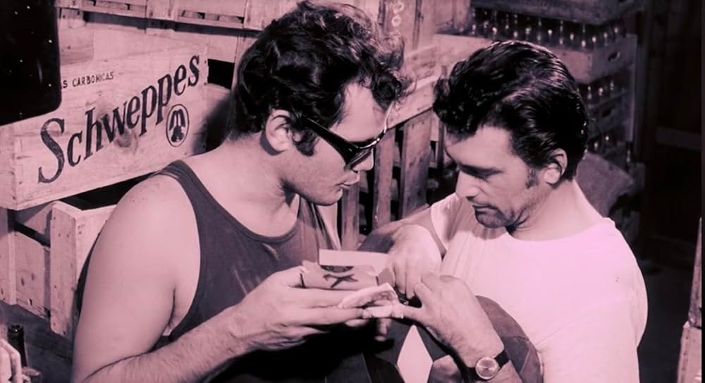 Hallucination Generation（原題）の画像