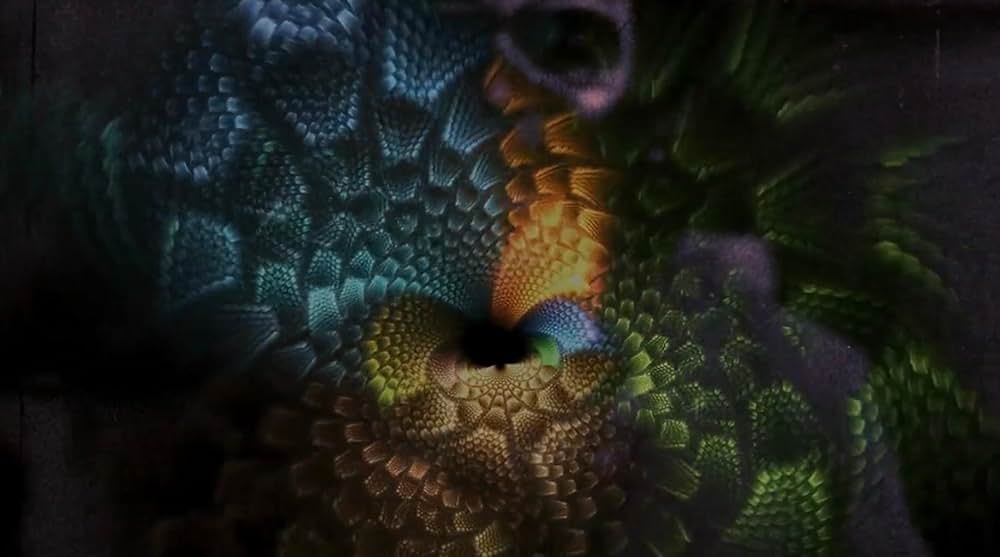 Hallucination Generation（原題）の画像