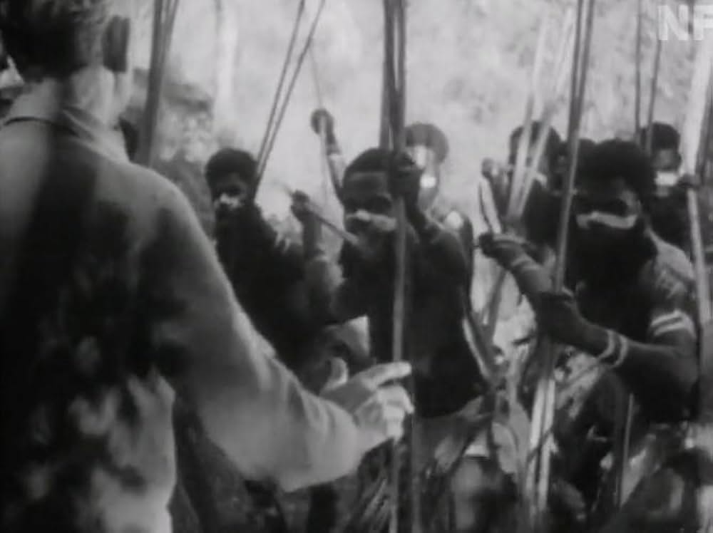 White Death（原題）の画像