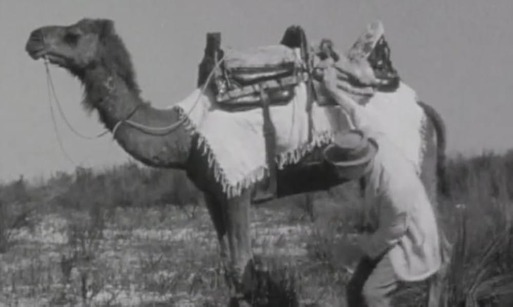 White Death（原題）の画像