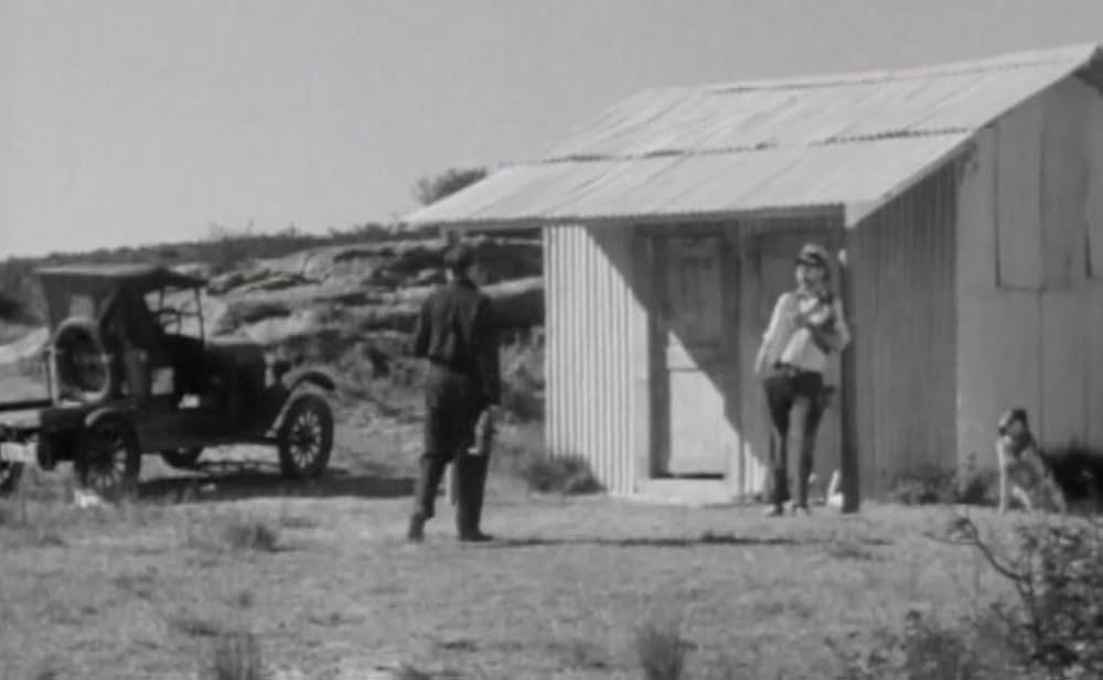 White Death（原題）の画像