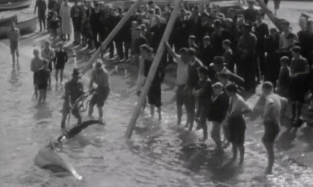 White Death（原題）の画像