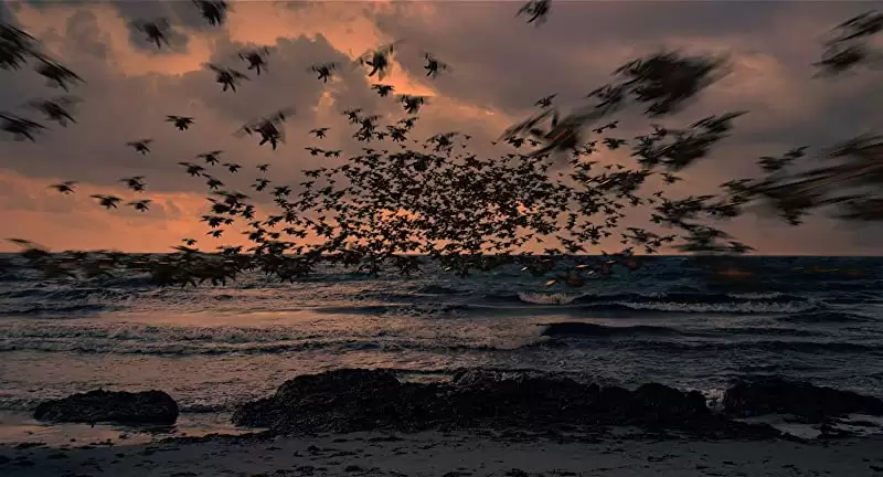 ジェシカの画像