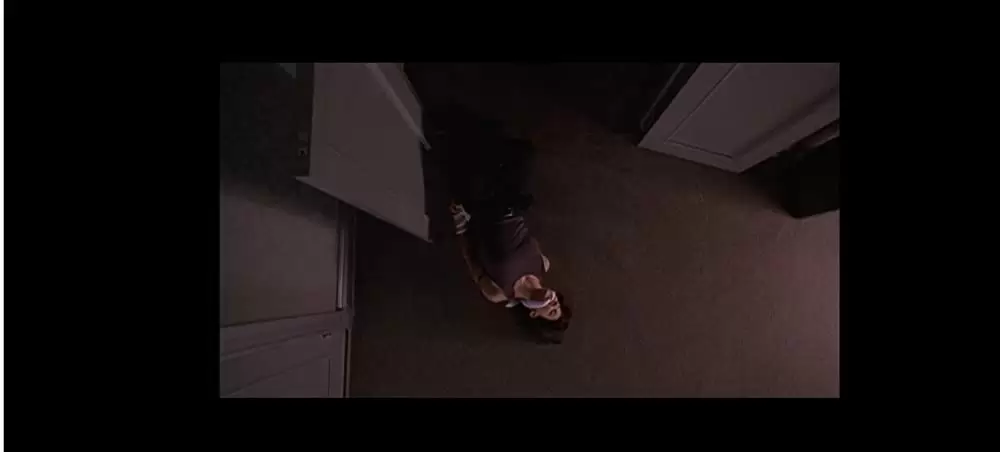 「バウンド」ジーナ・ガーションの画像