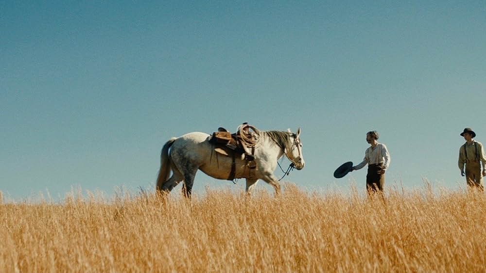 Old Henry（原題）の画像