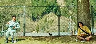 キツツキと雨の画像