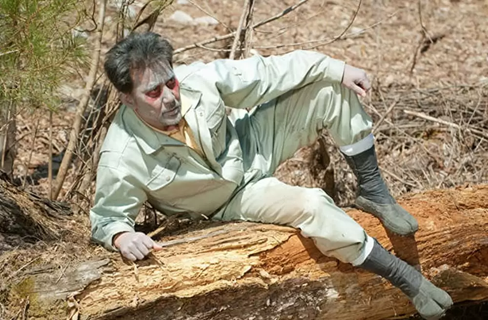 キツツキと雨の画像