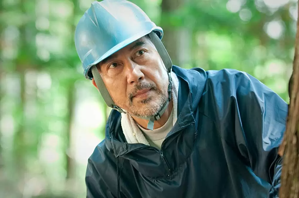 キツツキと雨の画像