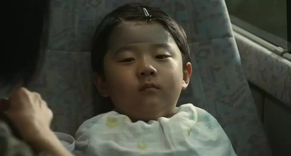 キツツキと雨の画像