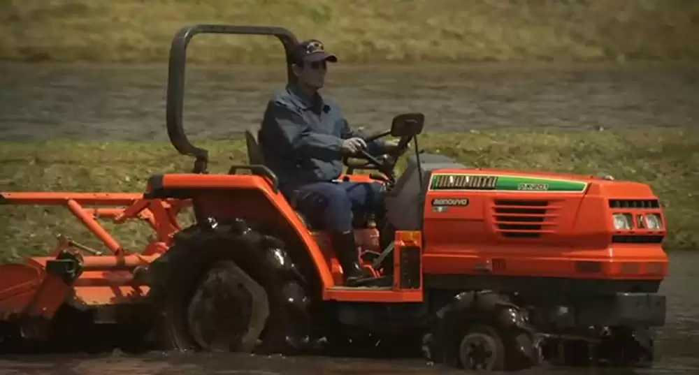 キツツキと雨の画像
