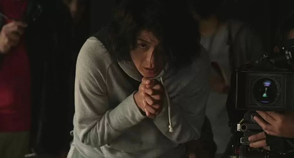 キツツキと雨の画像