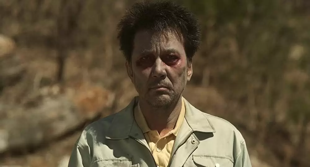 キツツキと雨の画像