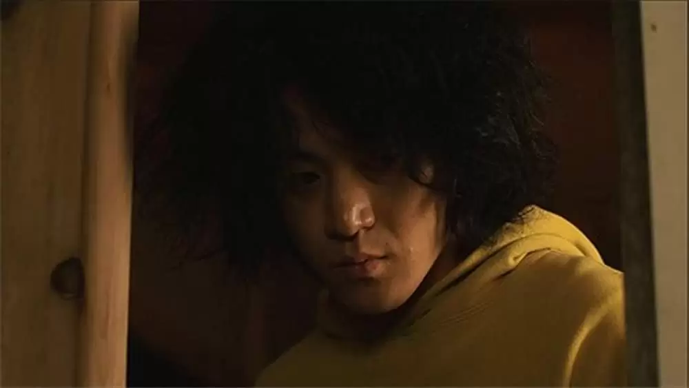 キツツキと雨の画像