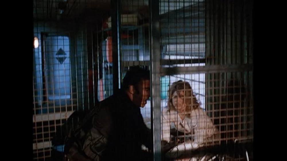 エグゼクティブ・エクスプレスの写真