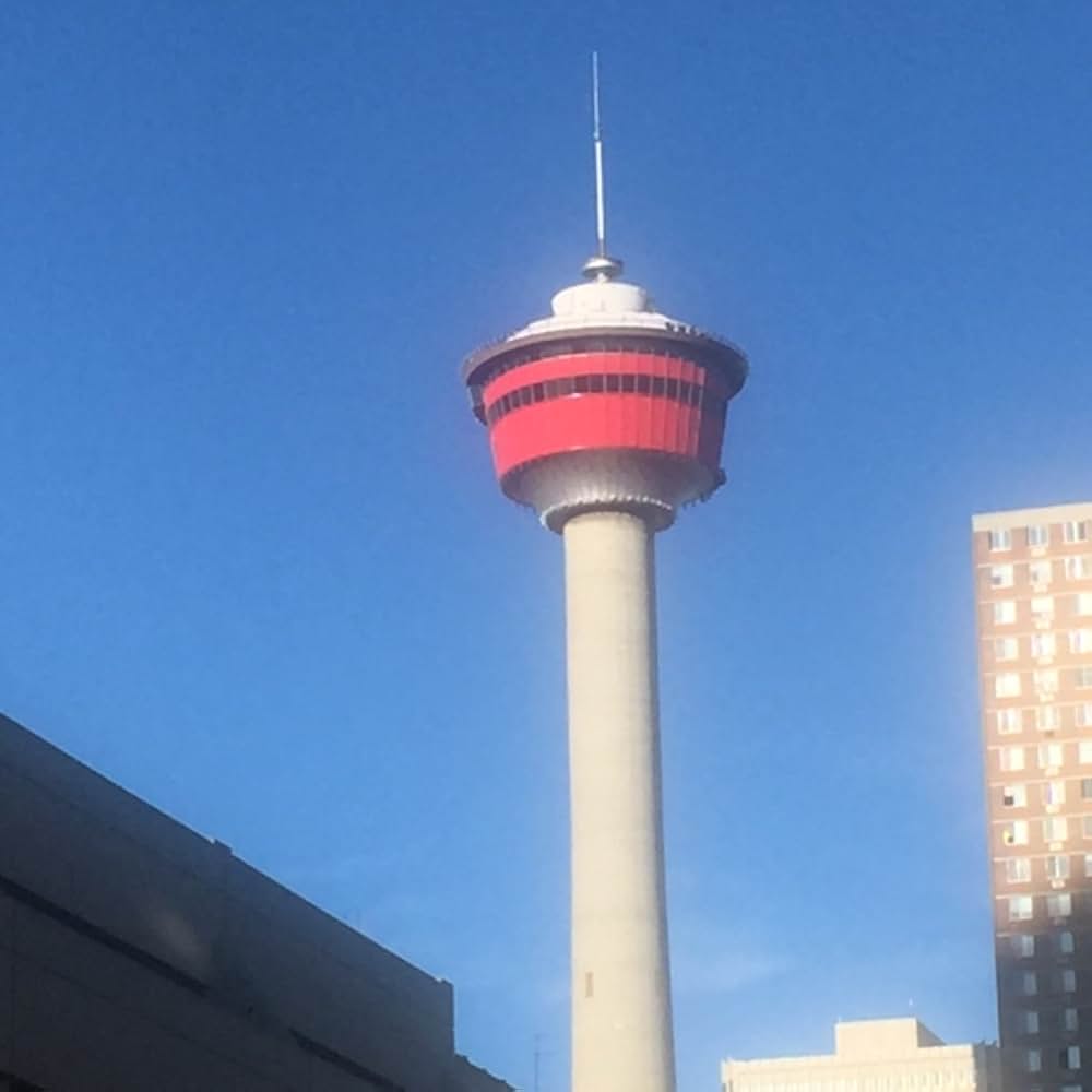 Chokehold（原題）の画像