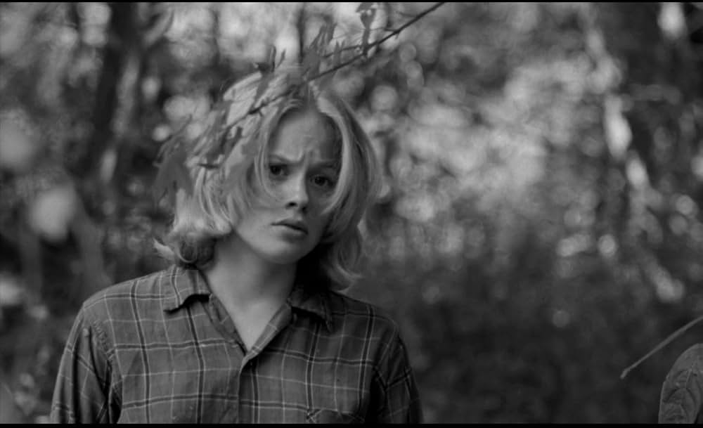 Spring Night, Summer Night（原題）の画像