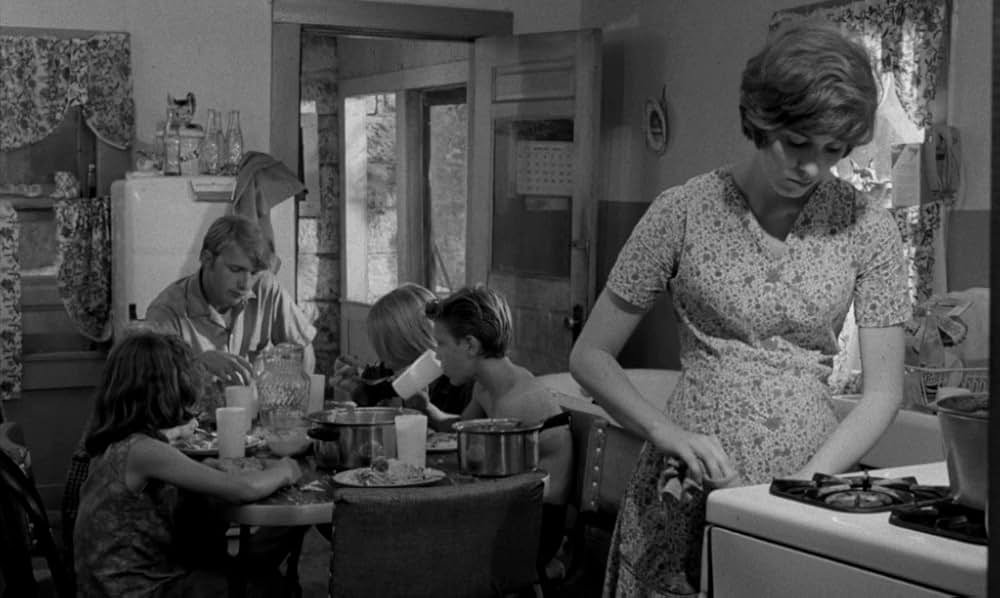 Spring Night, Summer Night（原題）の画像