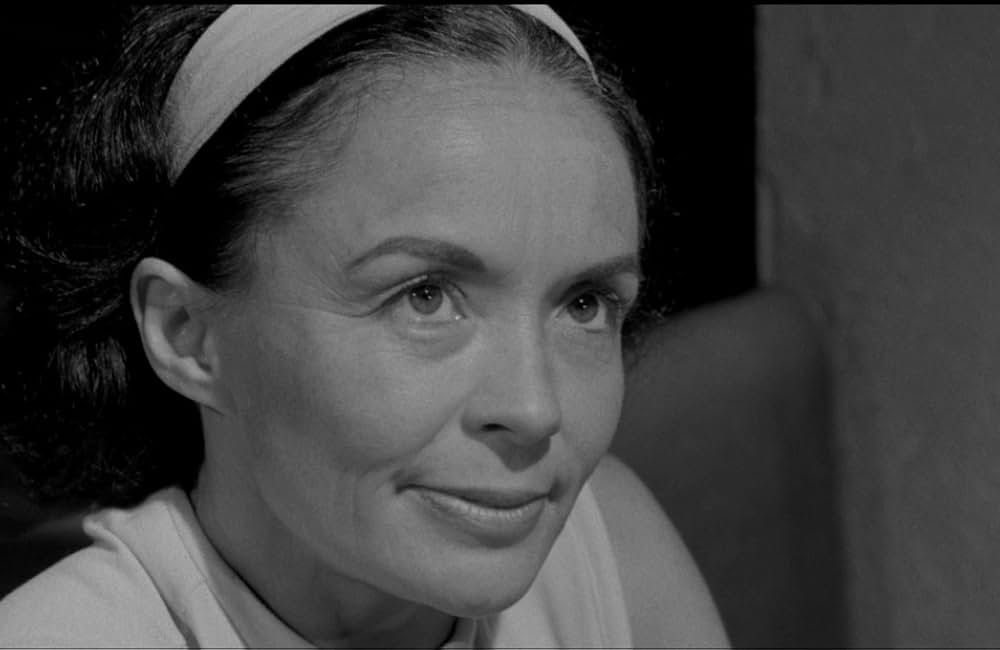 Spring Night, Summer Night（原題）の画像