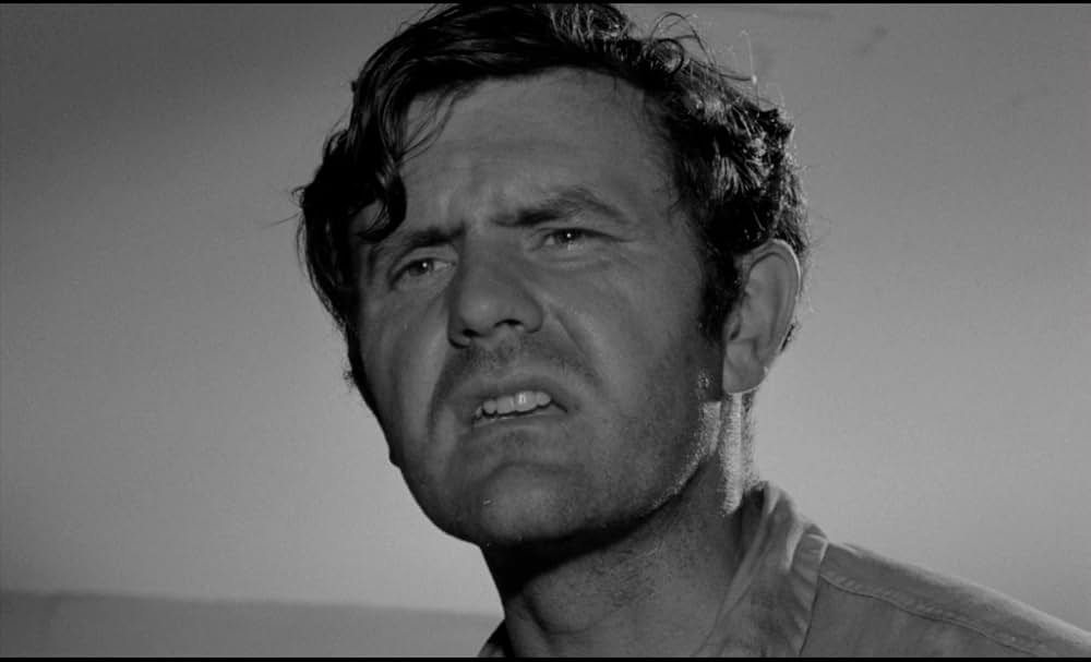 Spring Night, Summer Night（原題）の画像