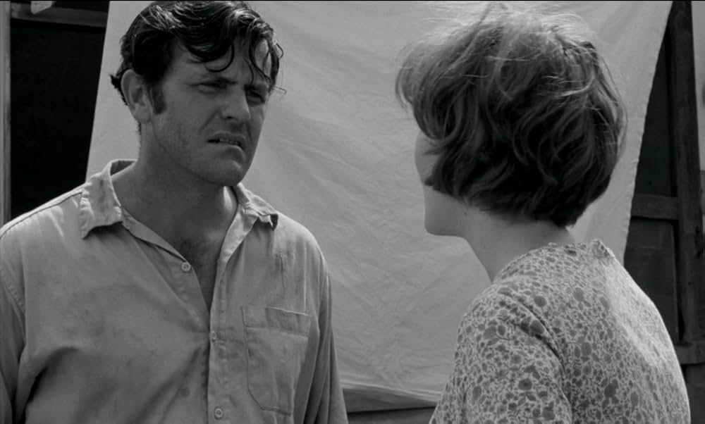 Spring Night, Summer Night（原題）の画像