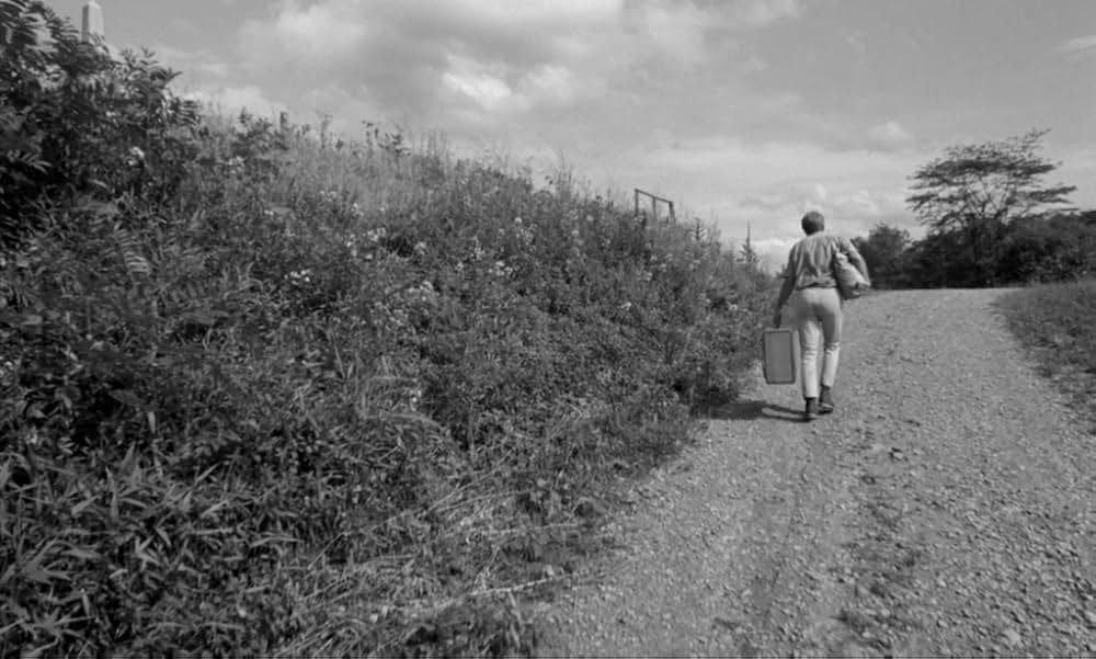 Spring Night, Summer Night（原題）の画像