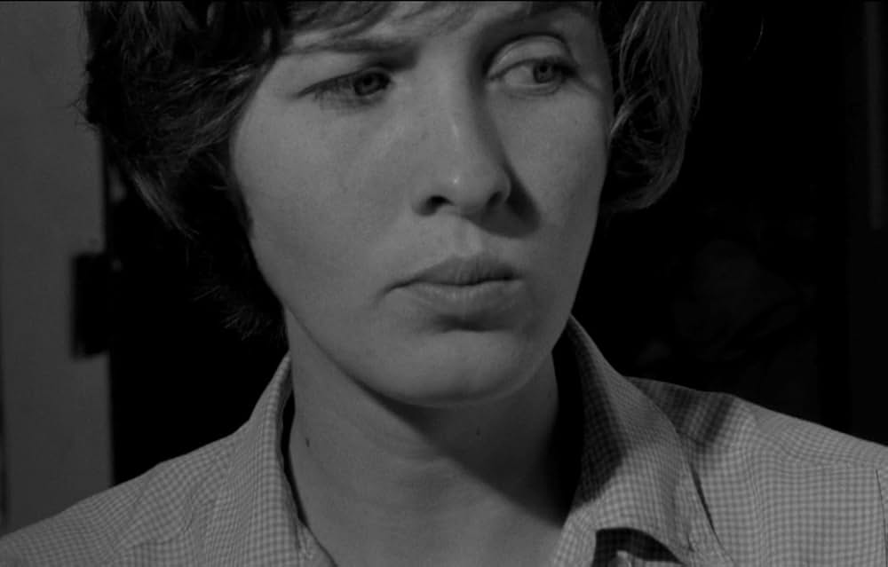 Spring Night, Summer Night（原題）の画像