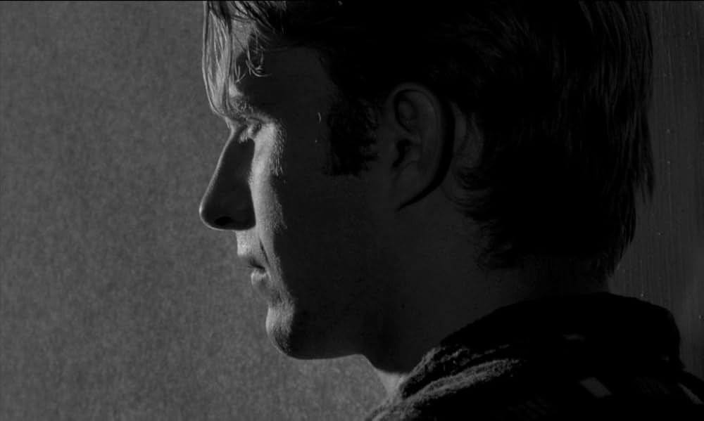 Spring Night, Summer Night（原題）の画像