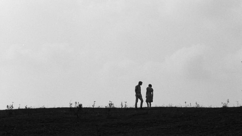 Spring Night, Summer Night（原題）の写真