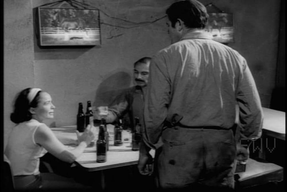 Spring Night, Summer Night（原題）の画像