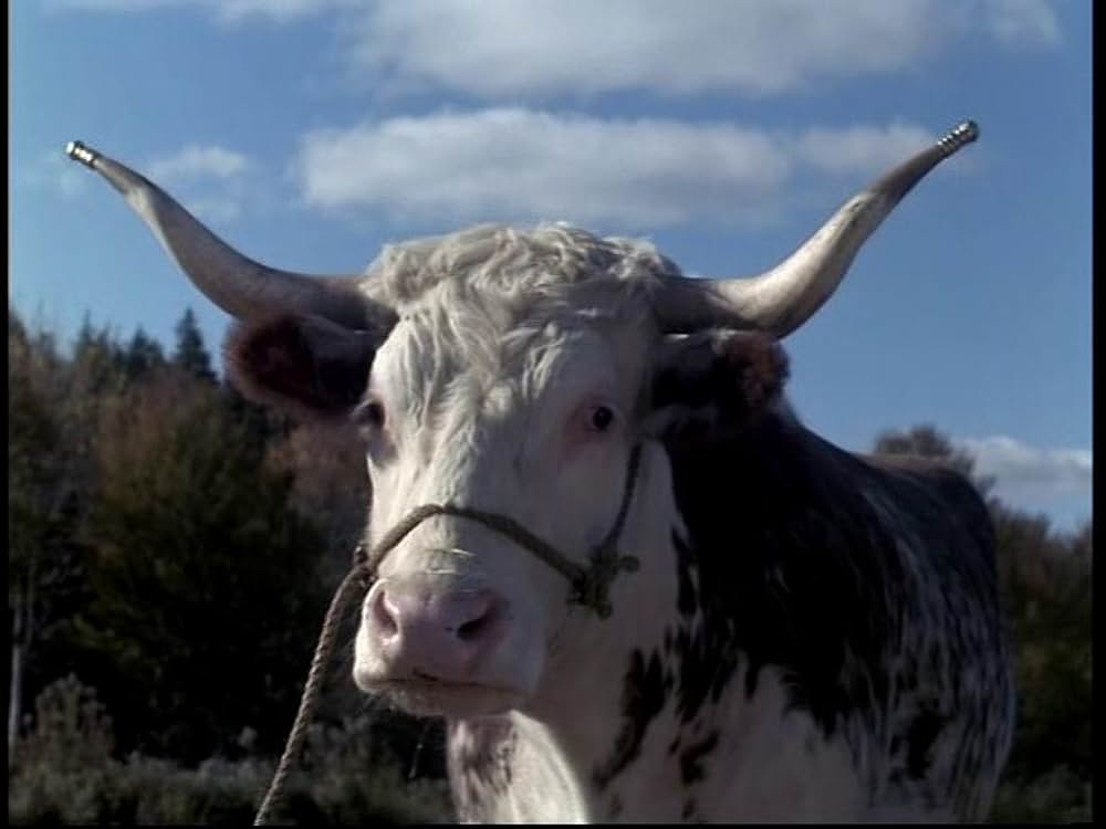 小さな贈り物の画像