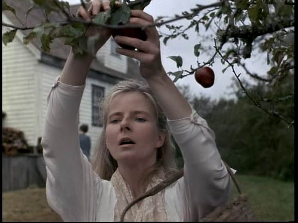 小さな贈り物の画像