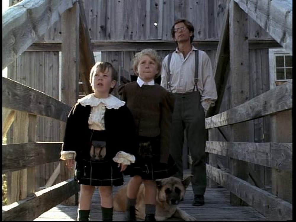 小さな贈り物の画像