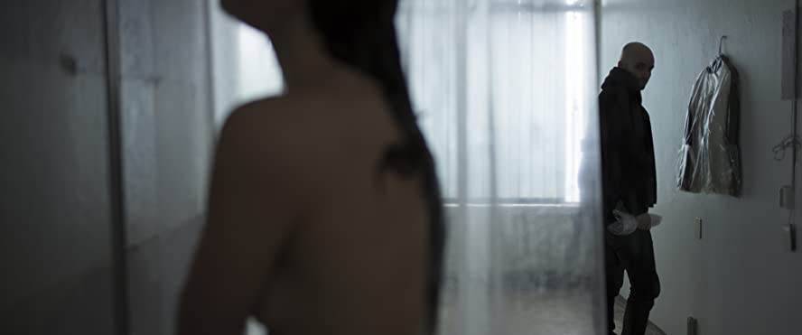 トラフィッカー 運び屋の女の画像