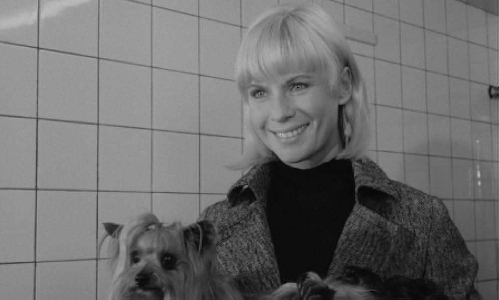 ガールズの画像