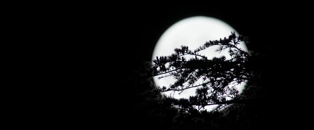 The Farthest（原題）の写真