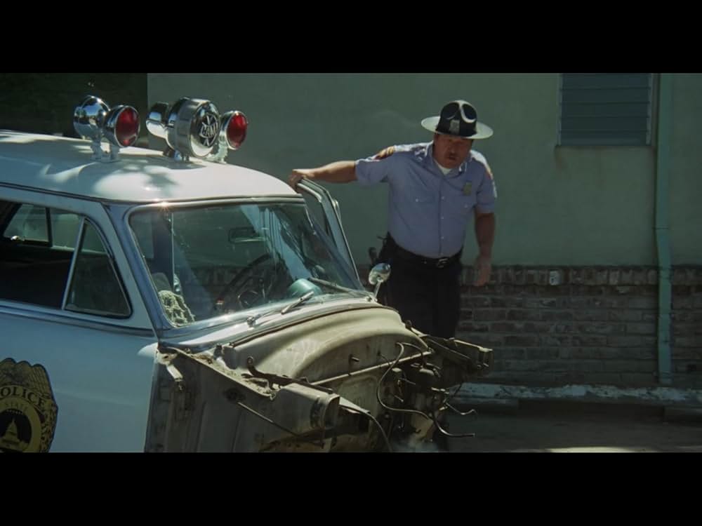 Macon County Line（原題）の画像