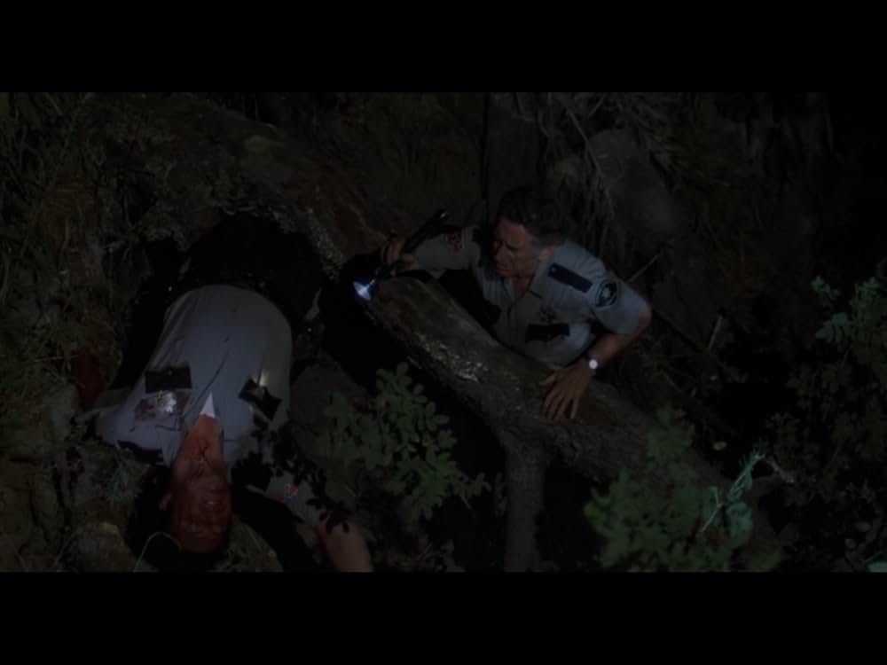 Macon County Line（原題）の画像